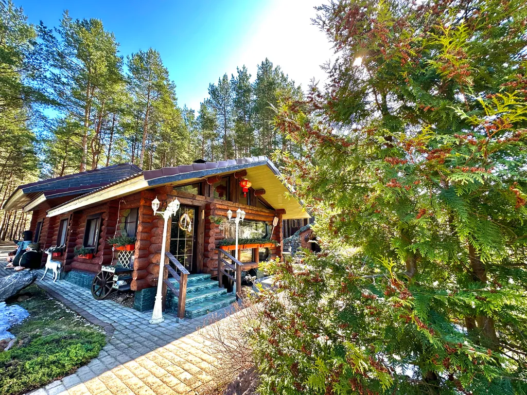 Дом в сосновом бору