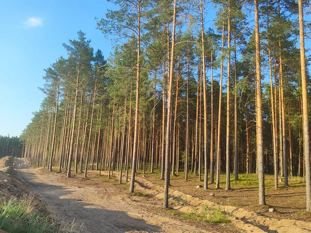 Уютный Дом с Камином в сосновом лесу 15 мин от Твери и 50 мин от МКАДа