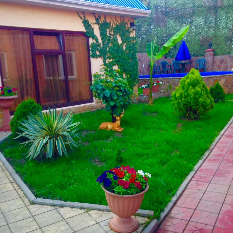 Номер в отдельном домике у бассейна