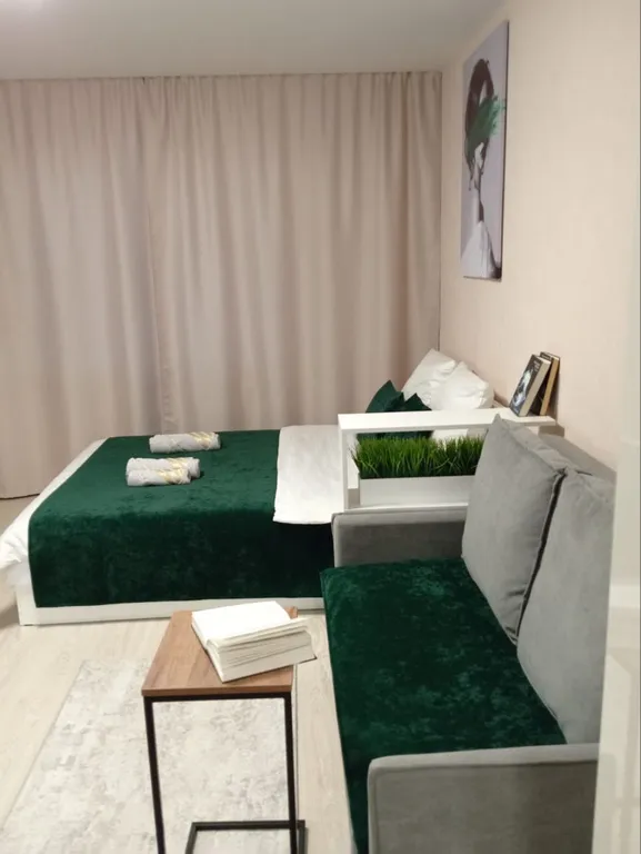 Уютная студия в ЖК Ёлки