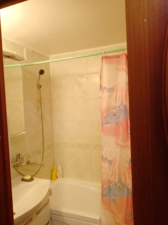 Просторная квартира в центре