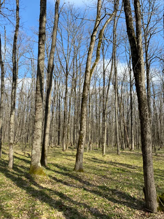 Квартира Квартира на поляне — Горячий Ключ