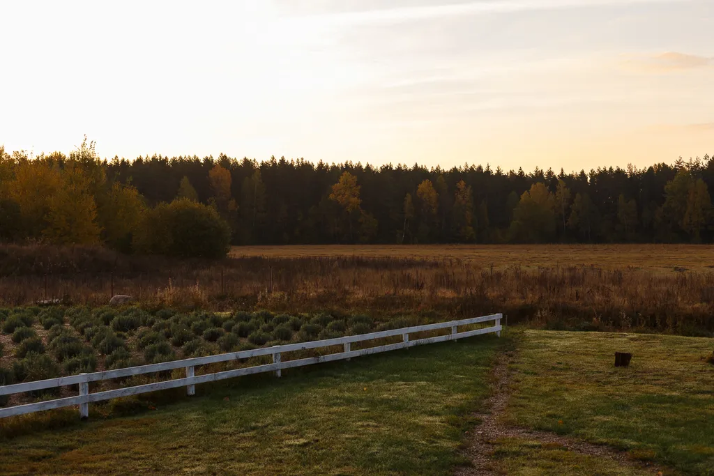 Треугольный дом между Минском, Несвижем и Миром