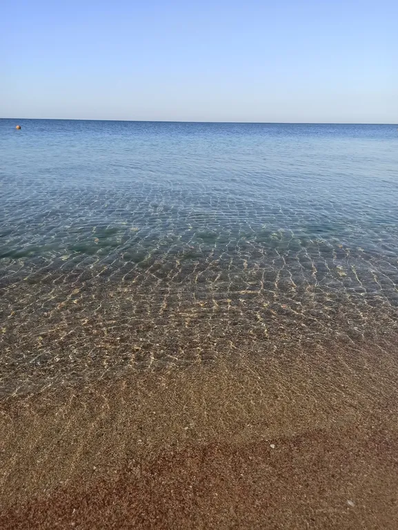 Квартира Апартаменты рядом с морем. — Витино