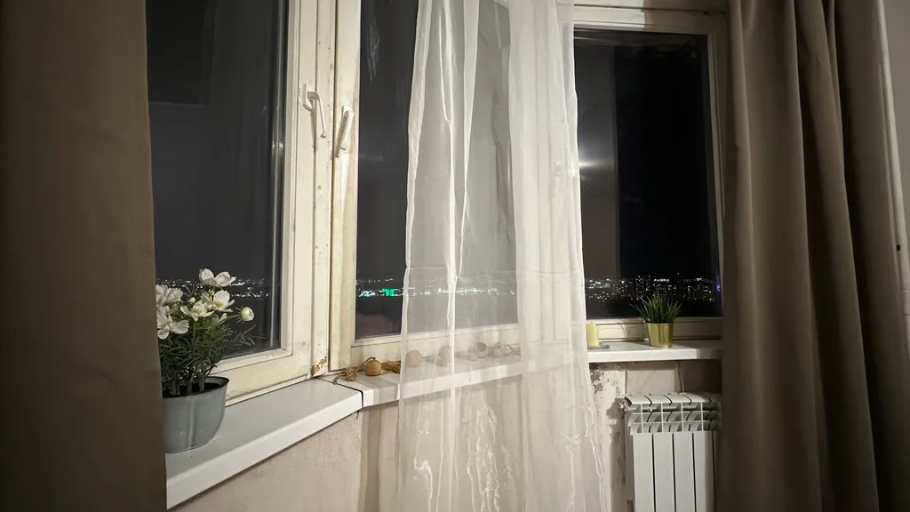 Простая однушка с видом на лес