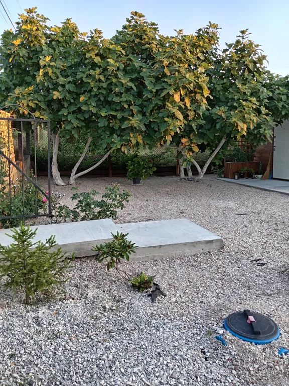 Дача у Моря