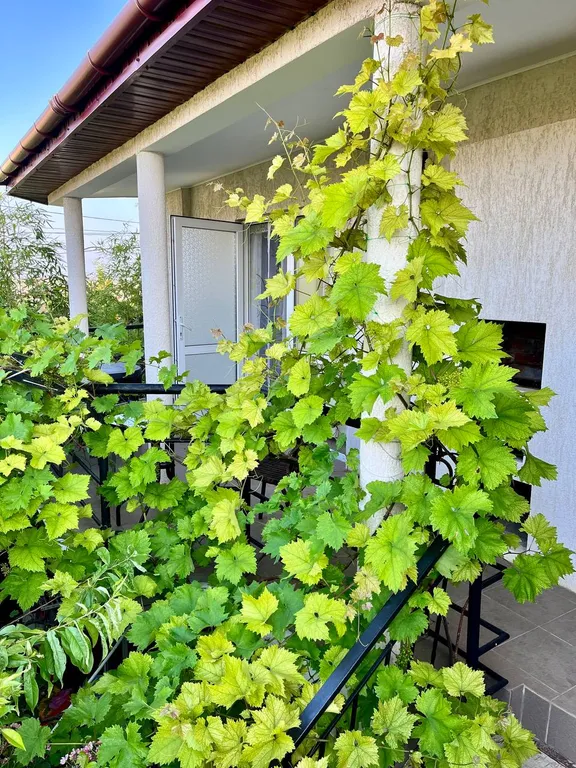 Квартира Квартира Двухкомнатный с кухней и террасой — Севастополь