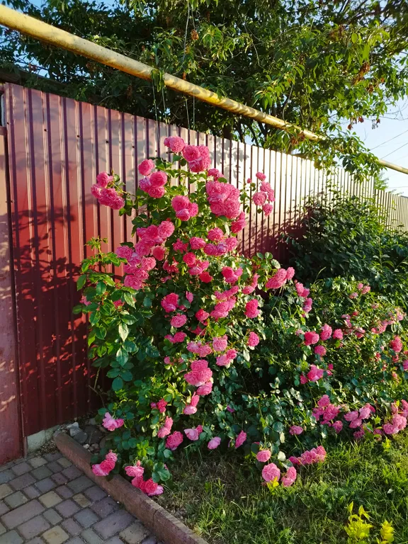 Дом на берегу Черного моря