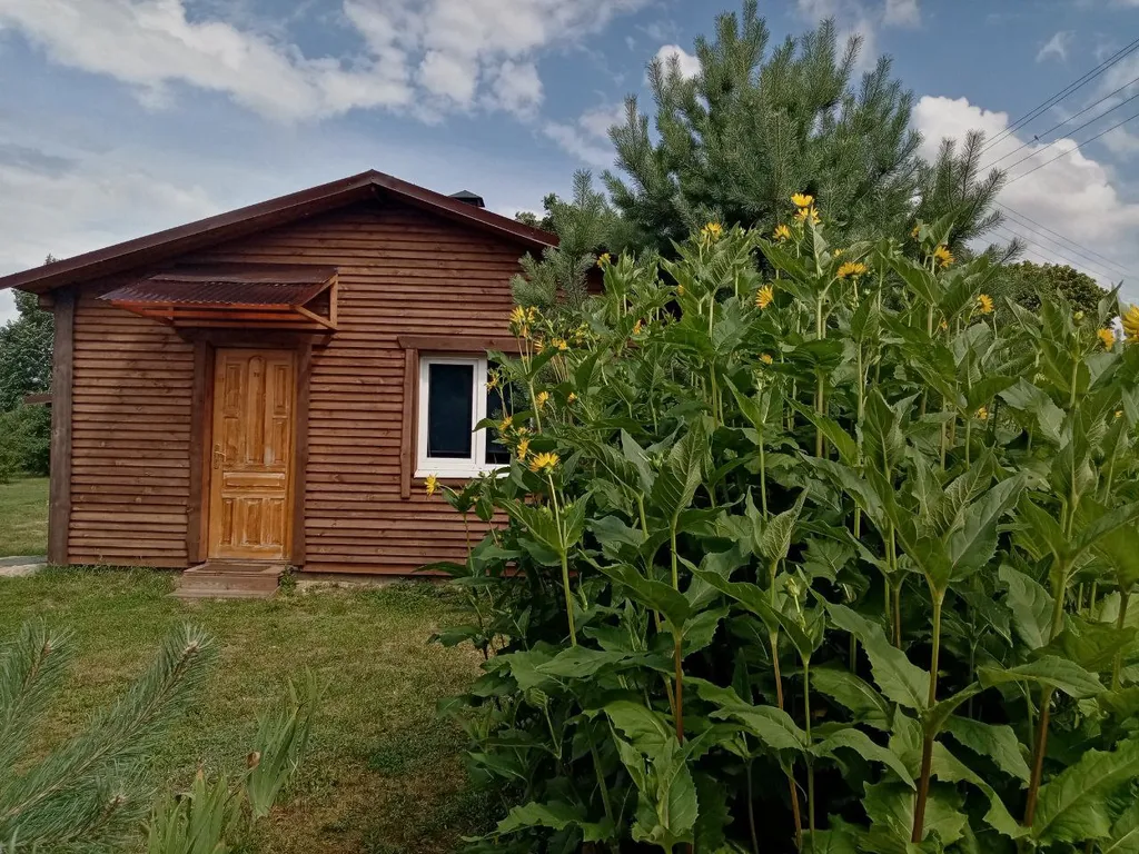 Усадьба в Беловежской пуще У Камина
