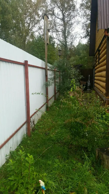 Медвежий угол