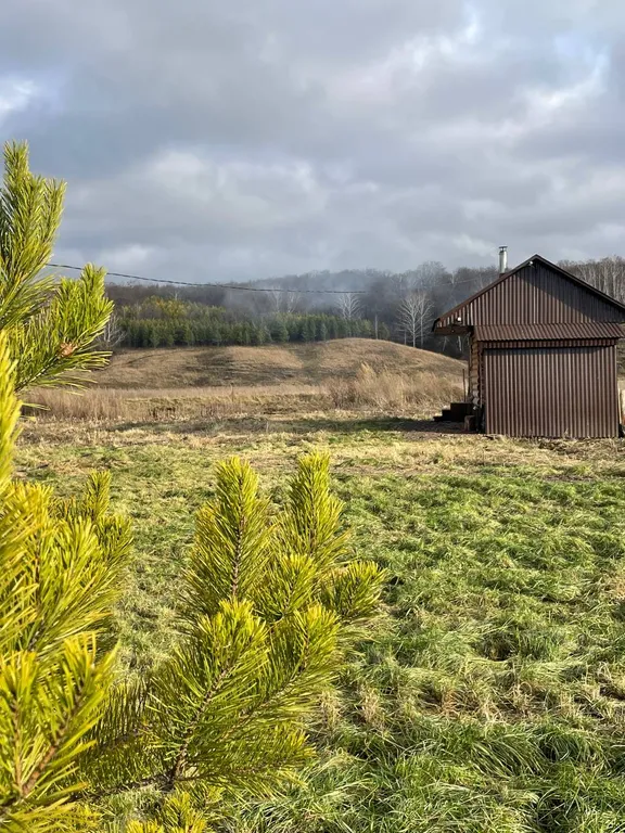 Дом у ручья