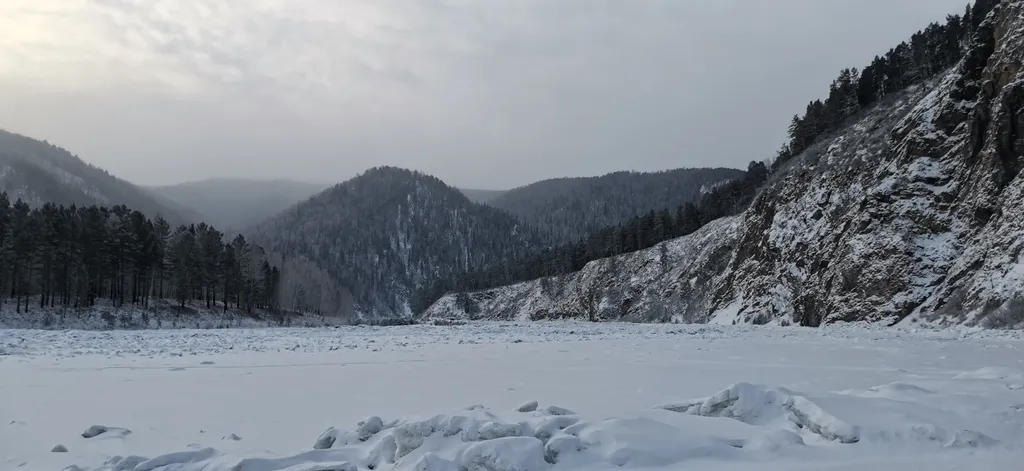 Дом с котом