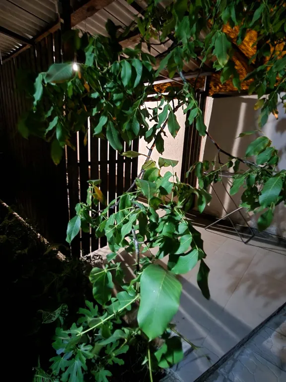 Коттедж 2-комнатный Дом — Геленджик