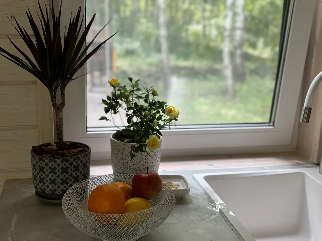 Домик в лесу