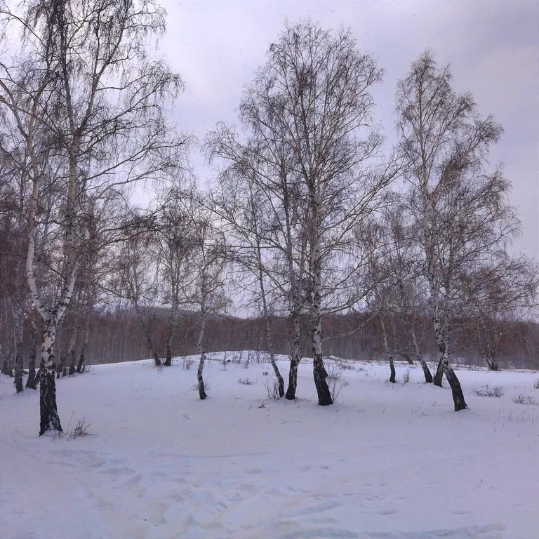 Дом у озера