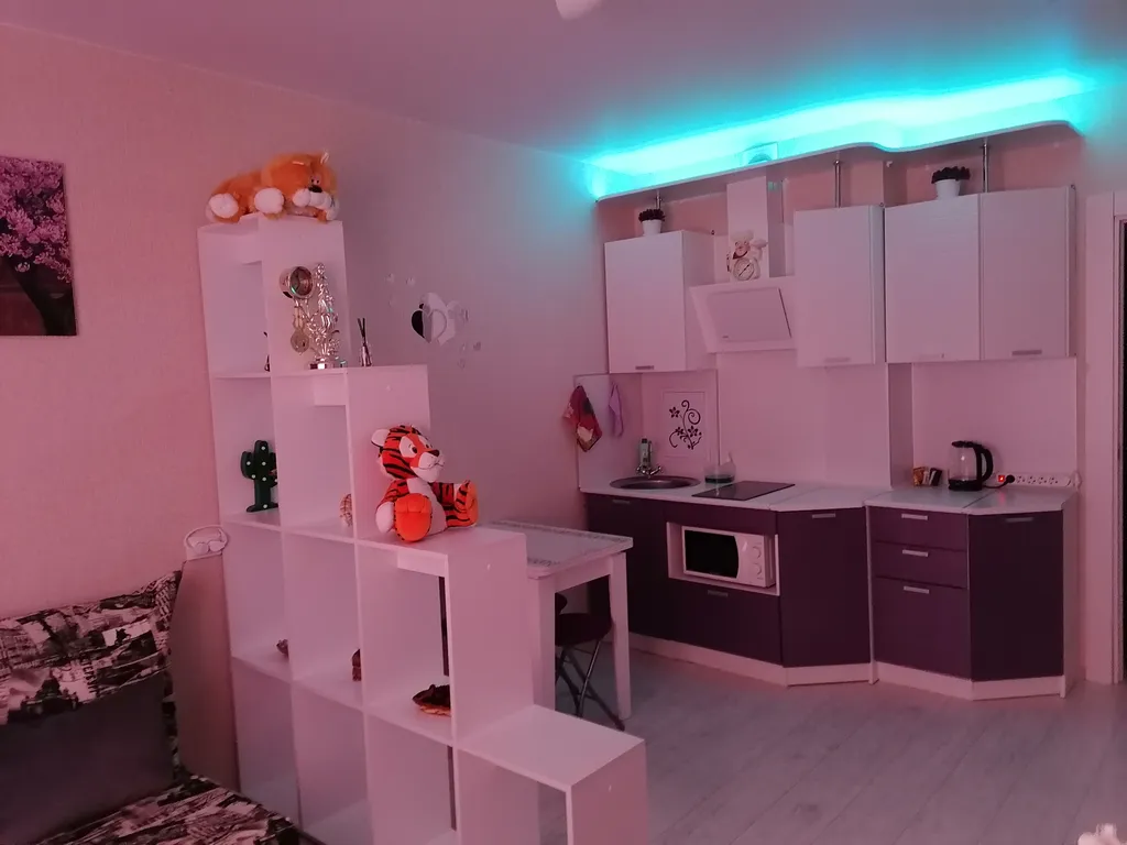 Уютная квартира студия около парка Галицкого и стадиона Краснодар