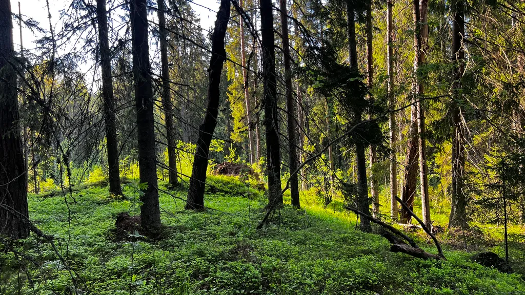 Дом на озере