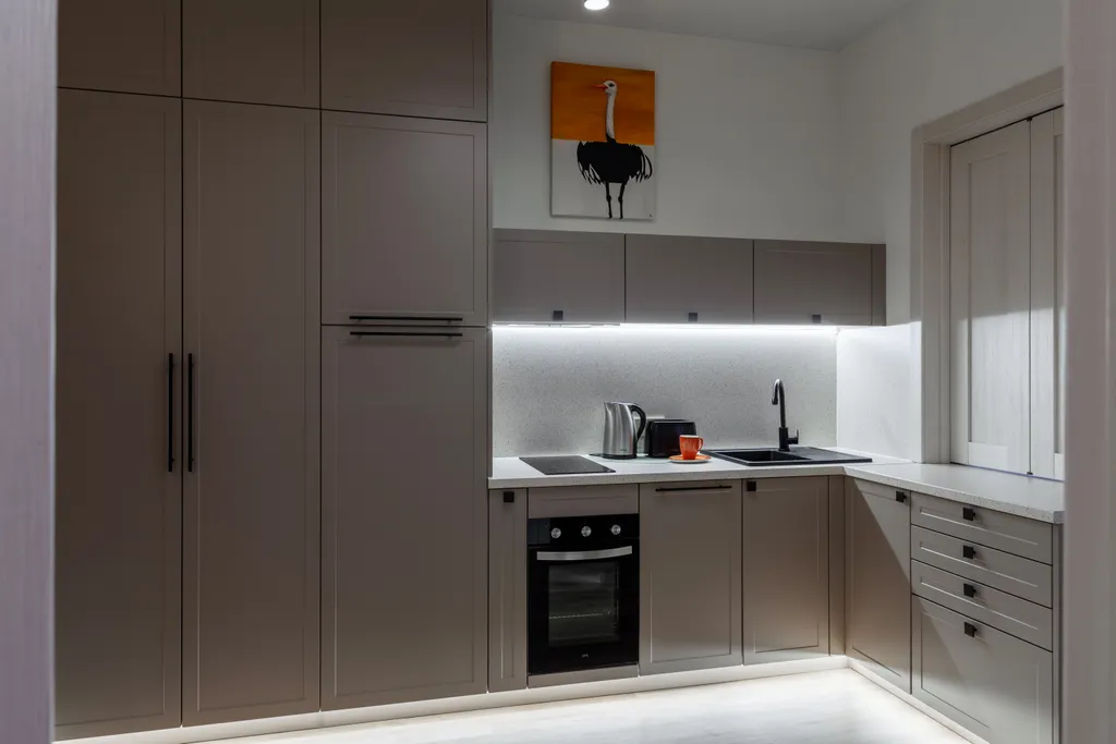 Бограда PREMIUM 2х комнатная квартира