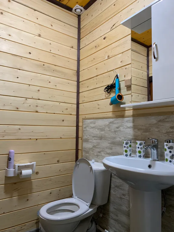 Дом в лесу с видом на горы рядом озеро Телецкое и река Бия