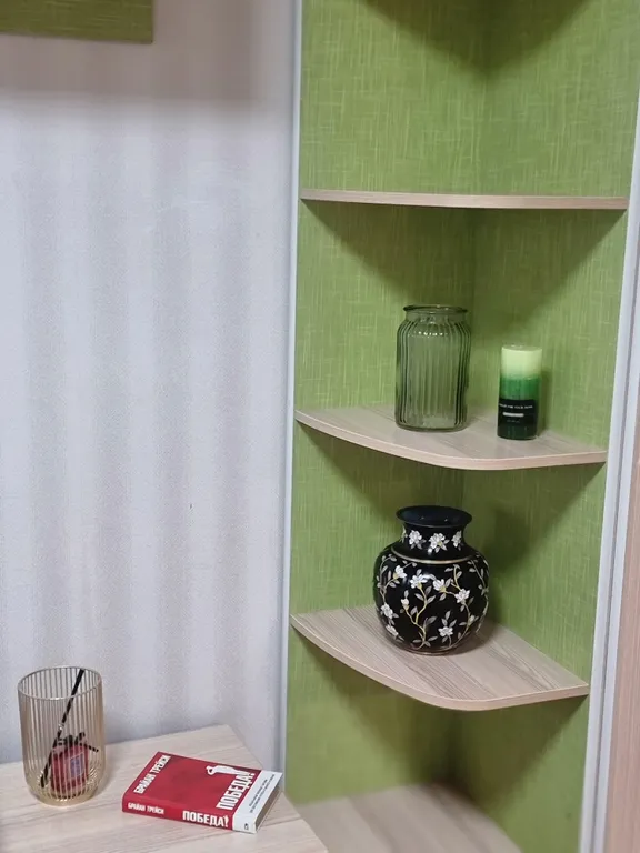 Квартира у аэропорта Внуково