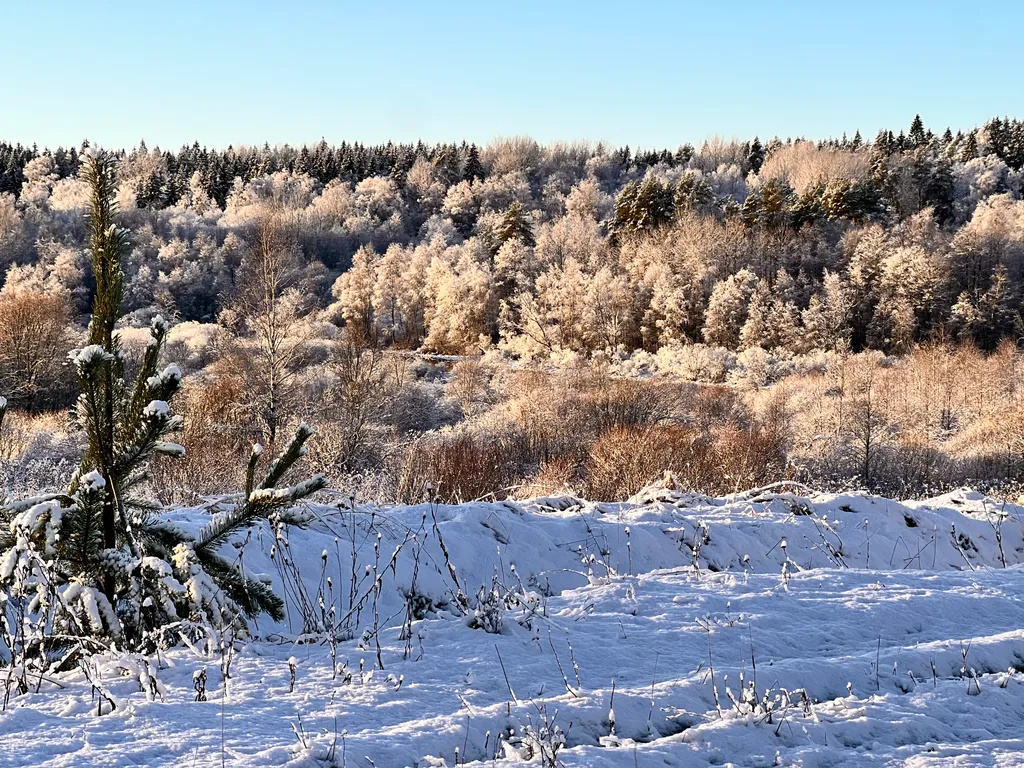 Коттедж Загородный дом со всеми удобствами рядом с речкой и озером — Рябово