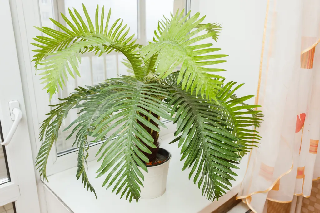 Уютные апартаменты