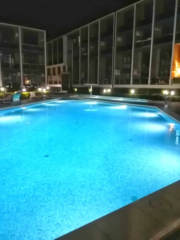 Уютная студия с видом на лес