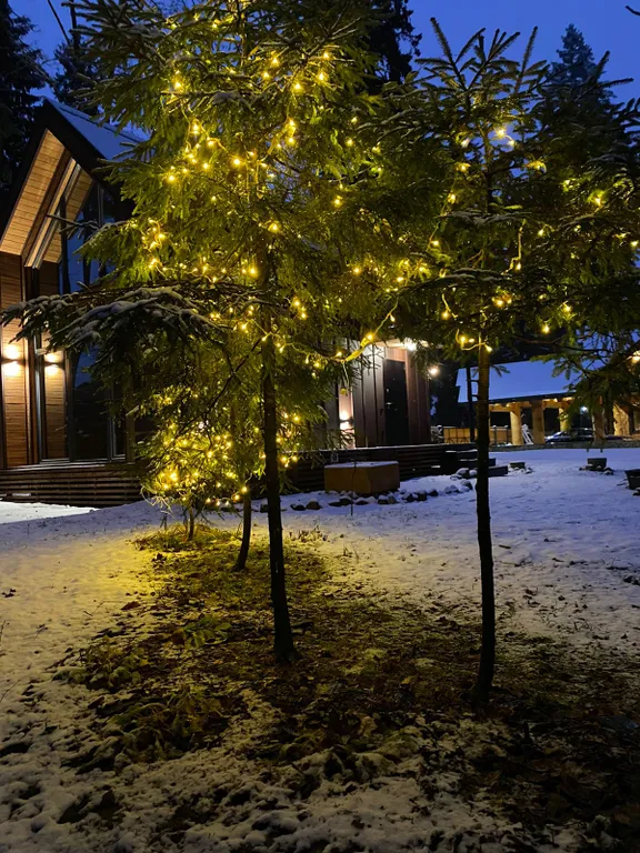 Барнхаус в лесу