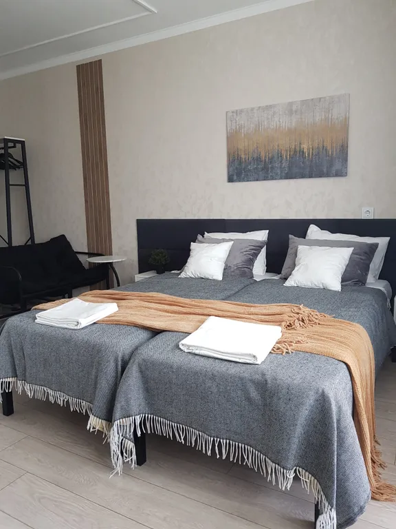 1 комнатная, Апартаменты Подушка