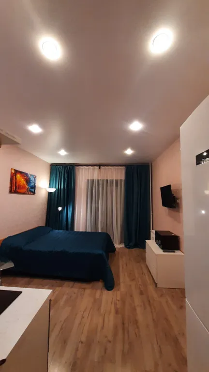 Апартамент с шикарным видом на Волхов