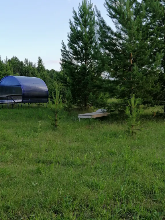 Дом на большом лесном участке Дача интроверта