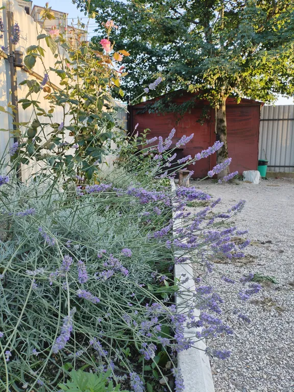 Коттедж в заповеднике