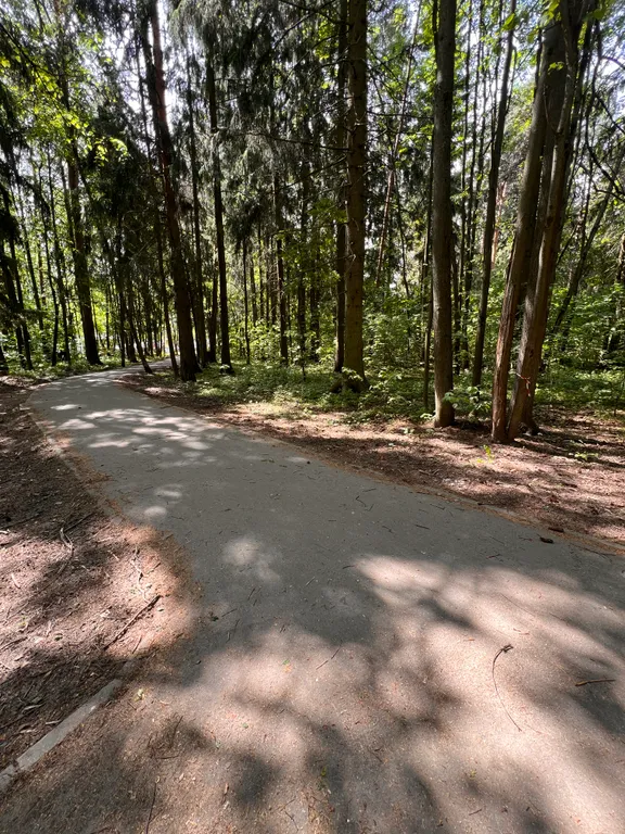 Курортная квартира с питерской атмосферой-лес, озеро, Москва.