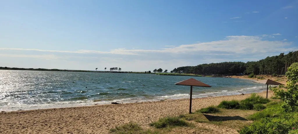 Квартира возле леса и залива