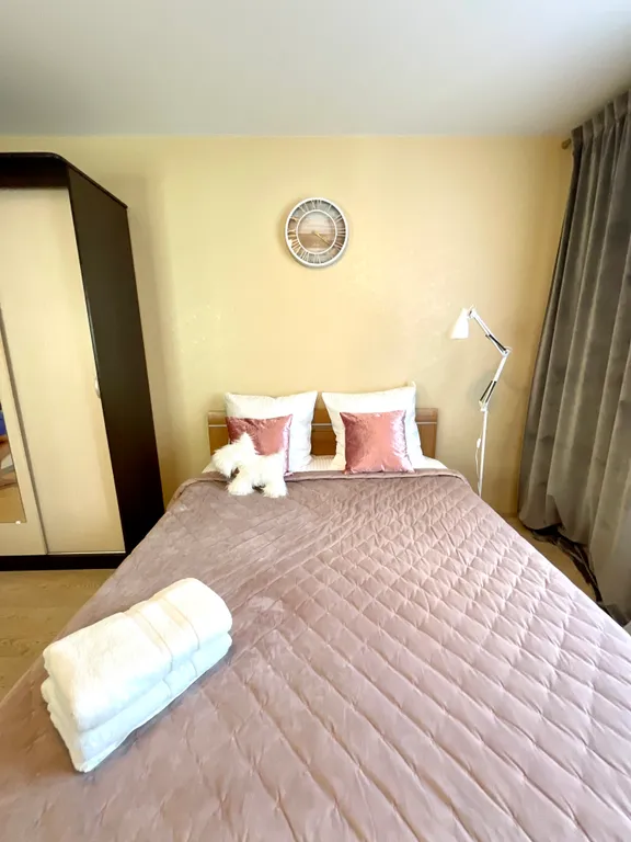 Просторная квартира в центре города — аренда посуточно в Рязань