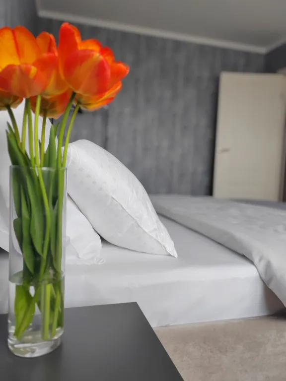 Квартира Апартаменты 2-ух комнатные с видом на планету Земля — Калининград