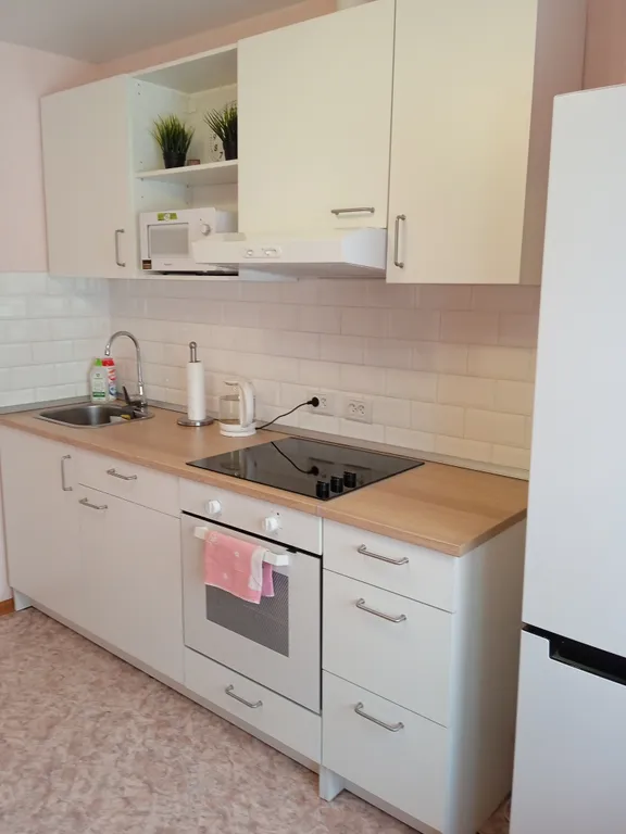 Уютная квартира в Новом центре