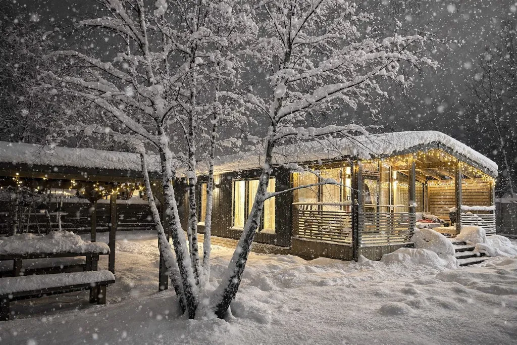 Уютный барнхаус в скандинавском стиле у горнолыжного курорта Сорочаны