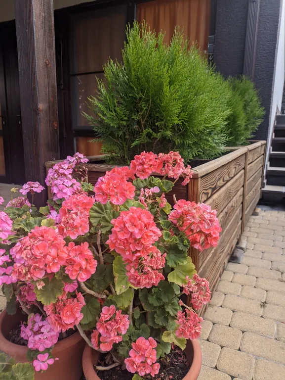 Квартира Квартира Двухместный номер Стандарт плюс с видом на горы — Геленджик