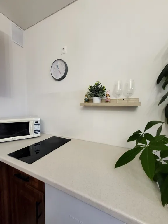 Апартамент на берегу реки Вологда