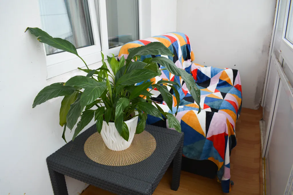 Апартаменты в Зашекснинском районе