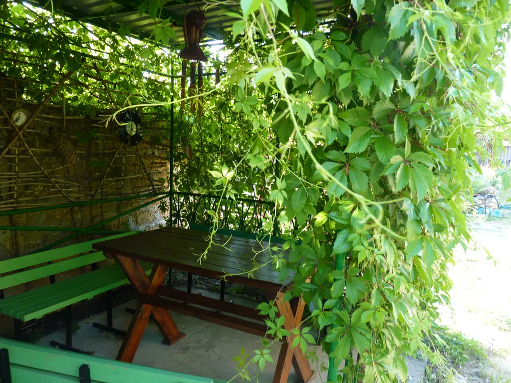 Квартира Квартира Комфорт 4-х местный — Новоотрадное