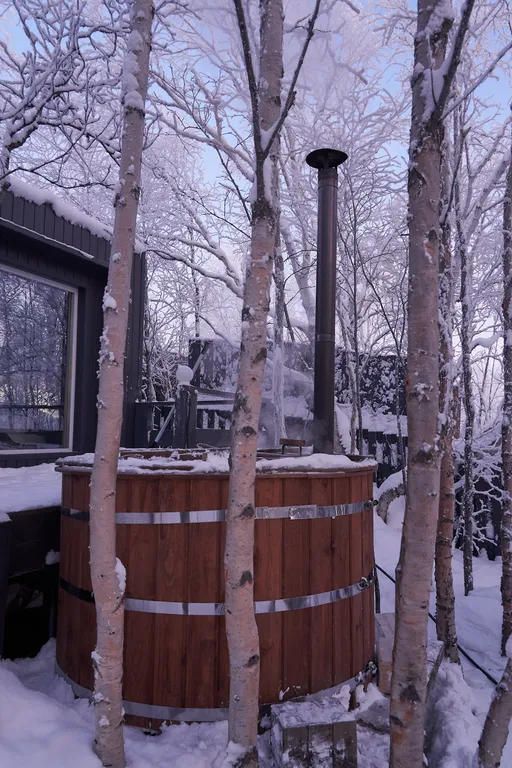 Домик с купелью однокомнатный