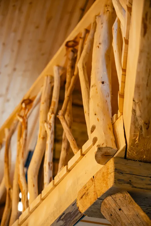 Дом с деревом