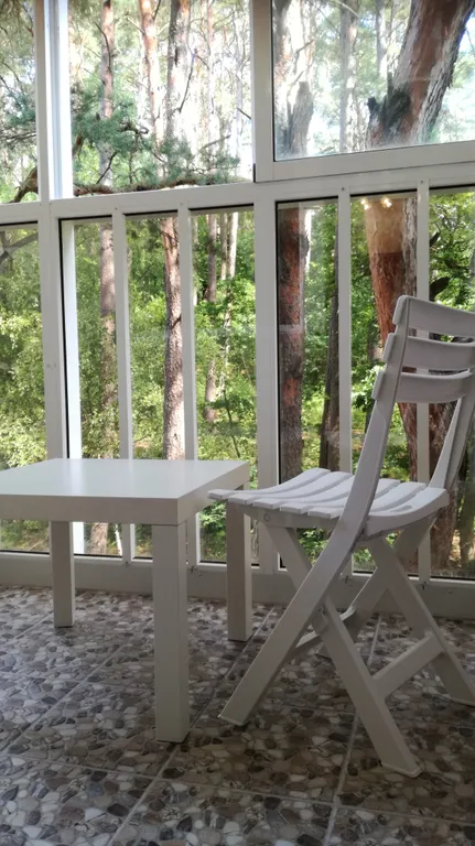 Студия в Сосновом бору