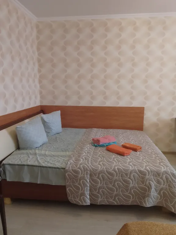 Квартира на сутки, автовокзал, мегагринн