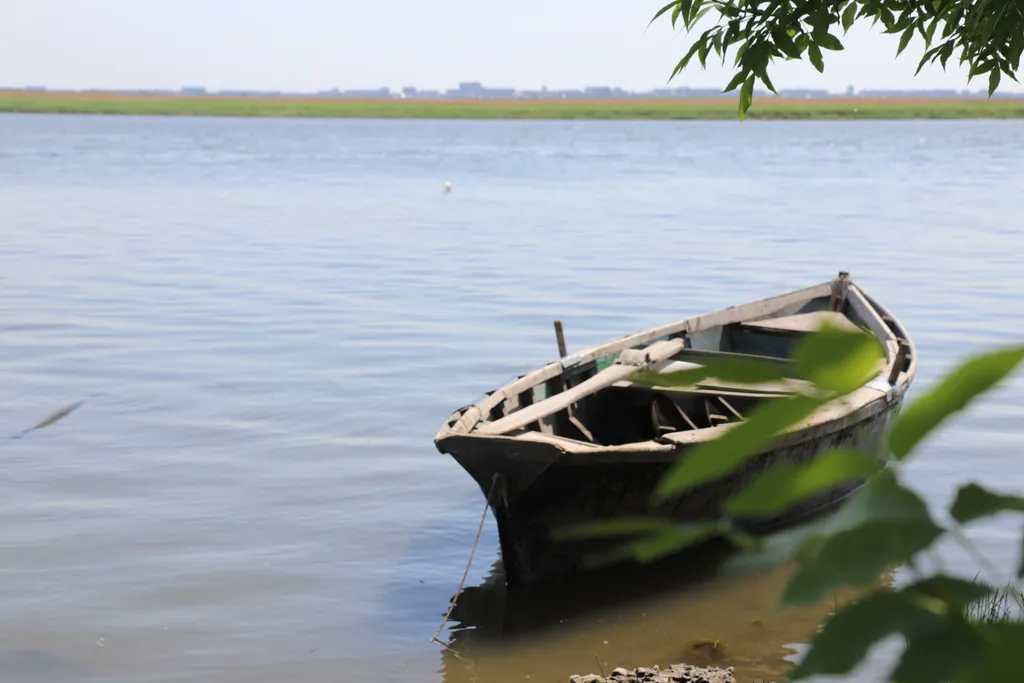 Загородный дом-шале "Pinebrook", аренда, у реки Дон. Сезонный бассейн.