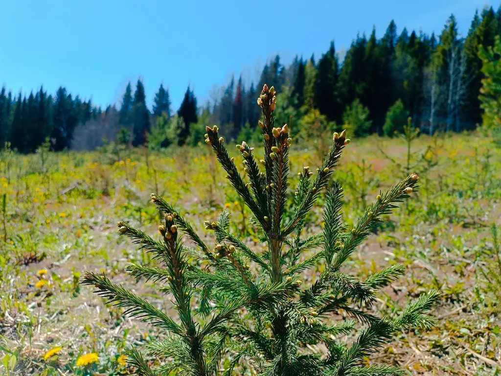 Гостевой дом счастье любит тишину