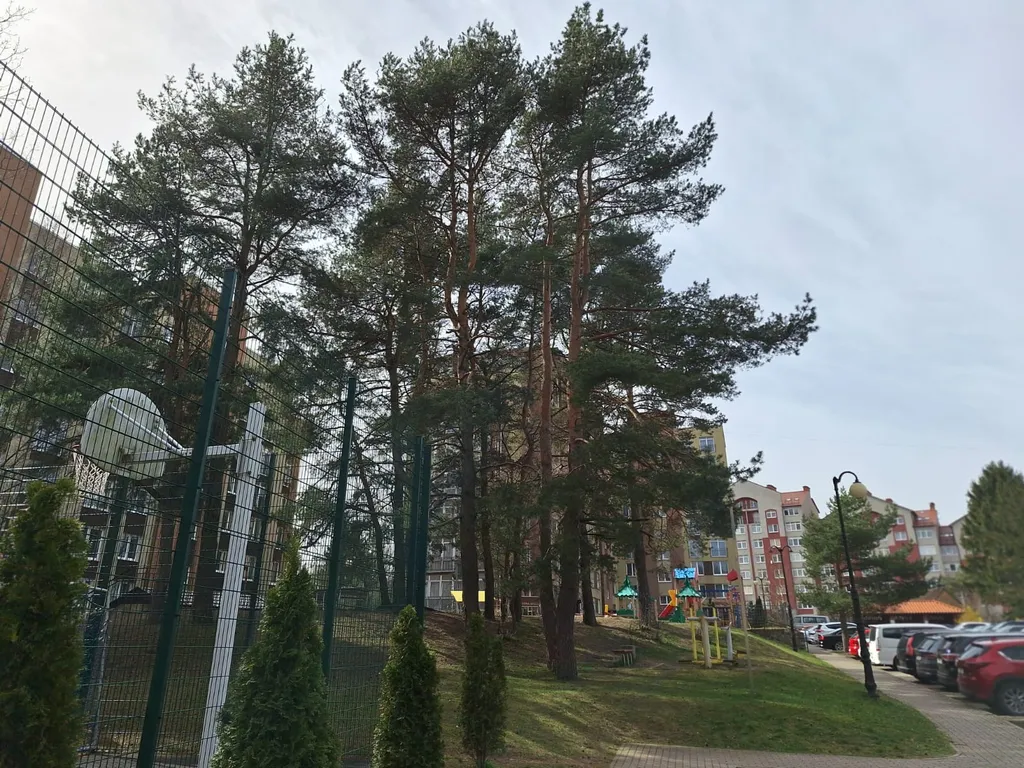 Уютная квартира на побережье