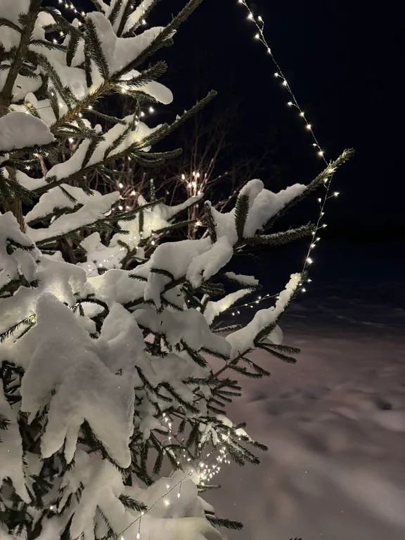 Коттедж 2-комнатный Дом — Шаховская